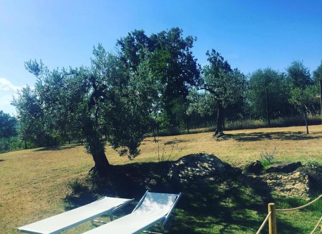 Locanda Di Santantimo Bed & Breakfast Chiassa Superiore Dış mekan fotoğraf